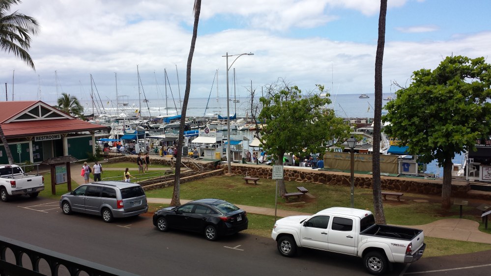 20150420_115434.jpg
